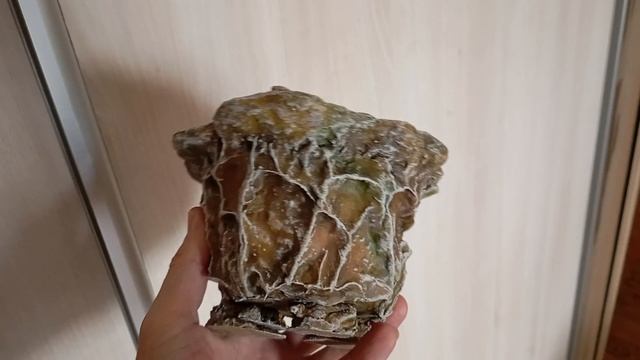 мини горшки