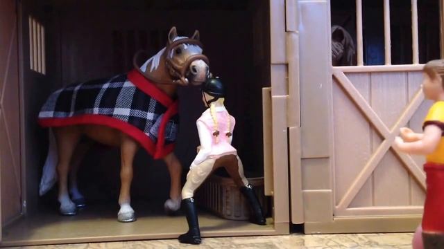 Один день из жизни ЧКСК Heureux cheval//День#9