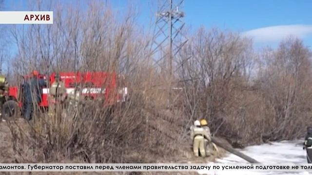 Более миллиарда рублей направлено из областного бюджета на охрану и защиту лесов