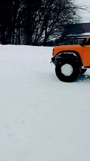 Конь скачет по деревне #hbr1001 #beluga