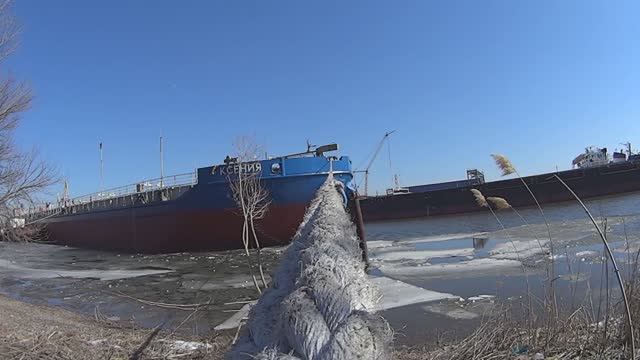 07 марта_видеозарисовка