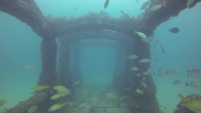 Wreck and Neptune reef Miami , GoPro 3+ Miami