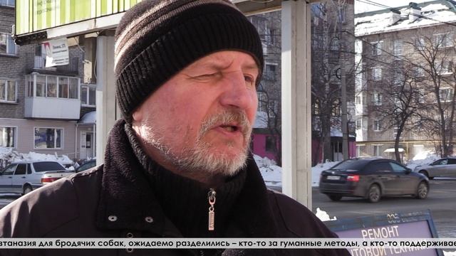 Усыплять или не усыплять – вот в чём вопрос