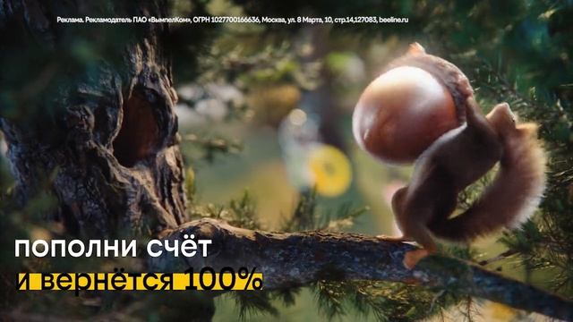 Реклама Билайн: Кешбэк На связь 100 процентов 2025 15 сек