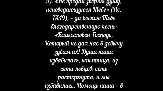 №50. СЕТЬ. Свт. Тихон Задонский