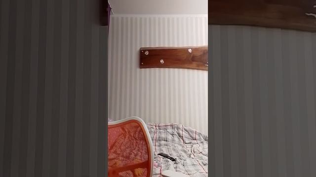 таболапка.mp4