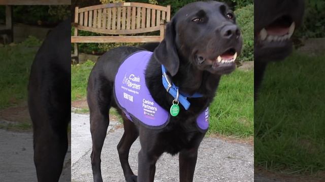 Thank you Pets Corner! | Canine Partners