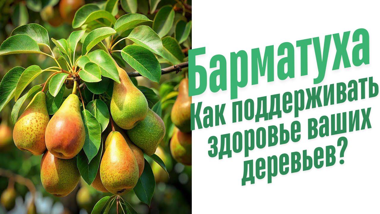 Болезни деревьев весной.