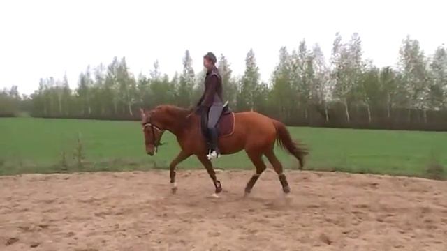 рысь на лево.MOD