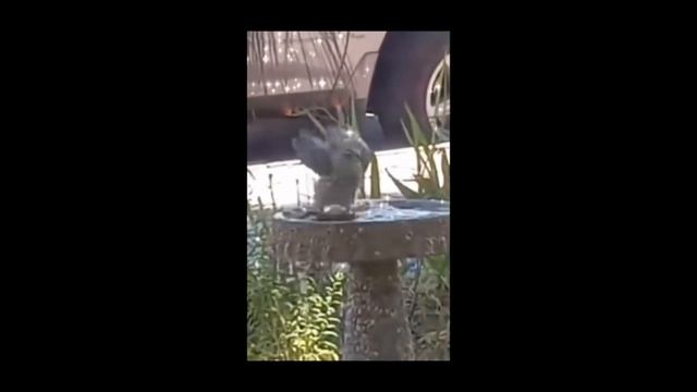 Когда пытаешься сесть в горячую ванну