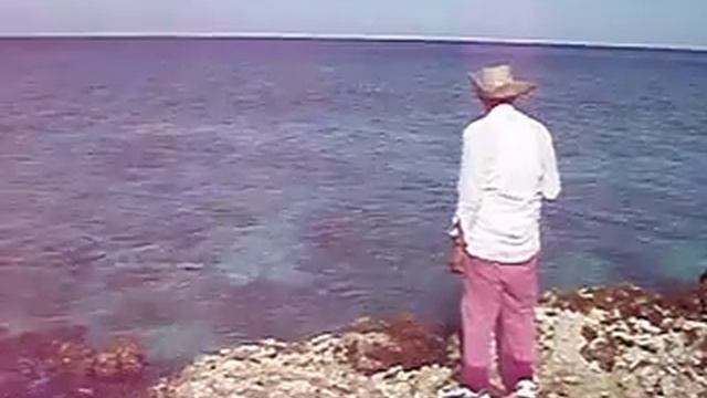 Tenson Scott fishing Long beach, Cayman Brac