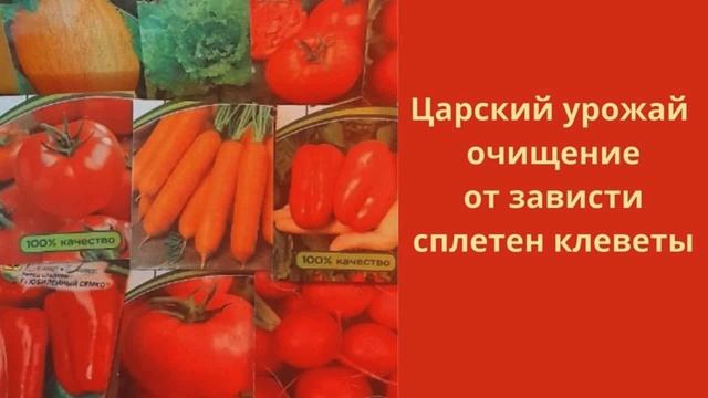 Царский урожай очищение от зависти сплетен клевету.