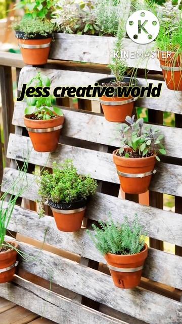 Indoor plant Money Plants Hanging & Decoration Ideas For Your Indoor | Money Plants Growing Ideas