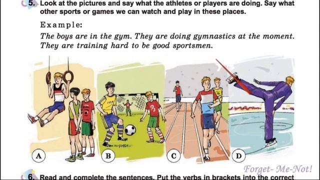 Несвіт 6 Тема 4 Sports and Games Lesson 6 с. 87-88 ✔Відеоурок