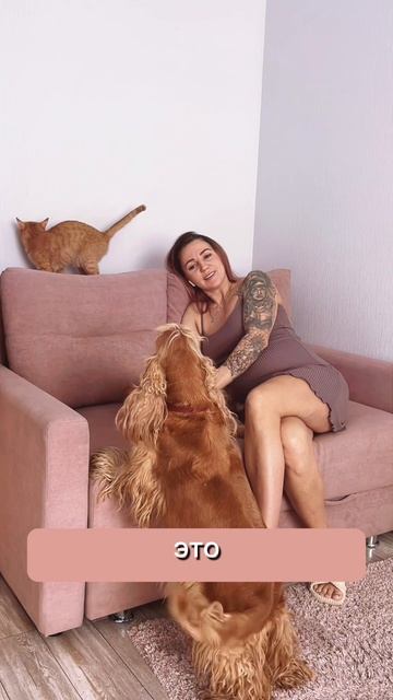 Я, моя кошка и собака - беременны