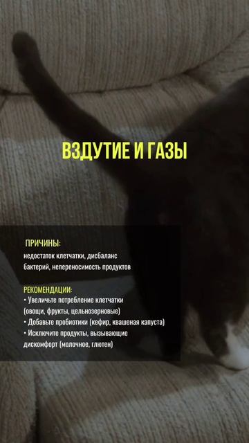 Вздутие и газы #вздутиеживота #вздутие #нутрициолог #нутрициология #натуропатия #натуропат