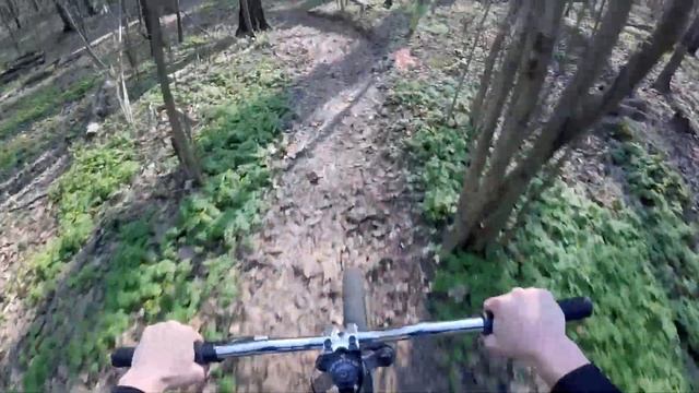 Покатушки на MTB в Битцевском лесу