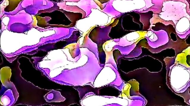 wildlife in hallucination