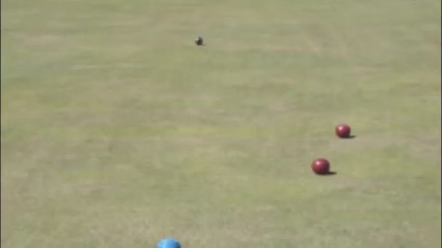 Lawn bowling in Berkeley (Curling (without the ice!) )