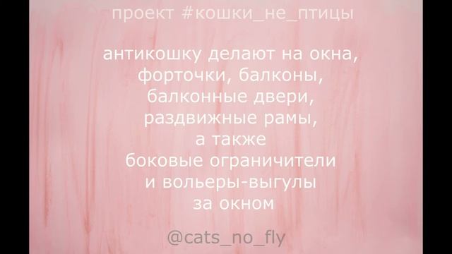 Что такое антикошка?