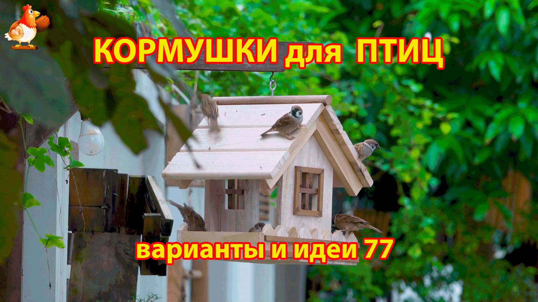 Кормушка для птиц своими руками как сделать пошагово  (77) 🪚🪛🔨 Идеи для дачи и сада❣️