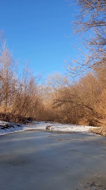 07.03.2025 #сегоднятак #сегодня #природа #nature #oggicosì #бүгін #oggi #hoy #今日 #today #오늘 #자연 #自然