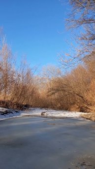 07.03.2025 #сегоднятак #сегодня #природа #nature #oggicosì #бүгін #oggi #hoy #今日 #today #오늘 #자연 #自然