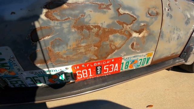 Sanford Florida VW show 2024