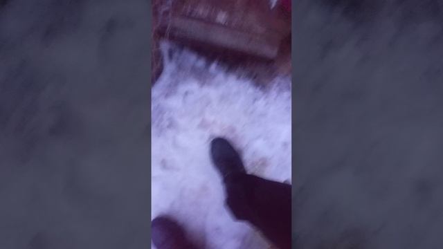 06-03-2025 в гостях у мухи