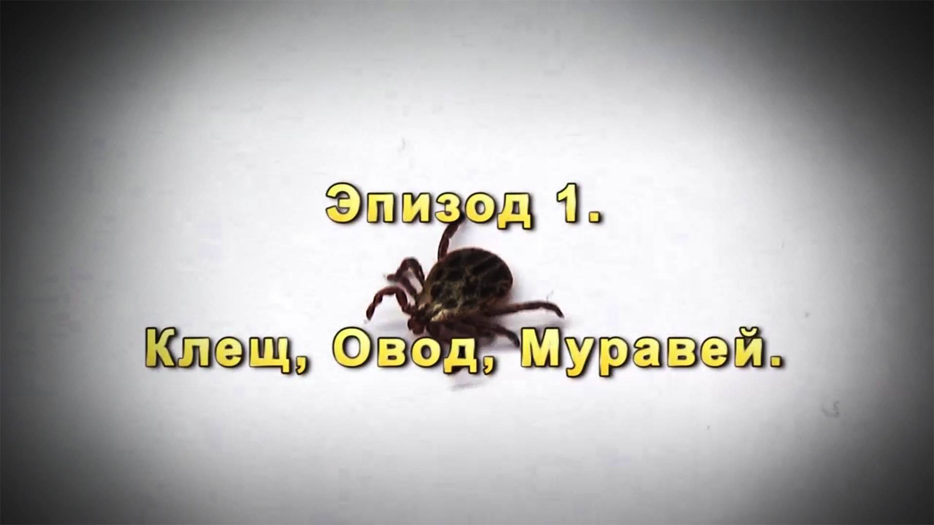 Эпизод-01 клещ