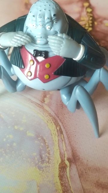 VID_20250307_150808.mp4