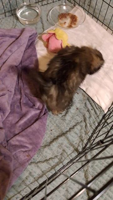 Для Авито_07.03.2025_1