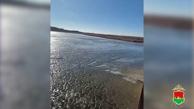 В Брянской области полицейские спасли тонувшего в озере Авангард мужчину
