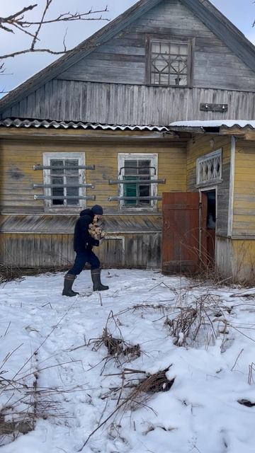 Дядя Ваня с дровами