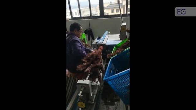 Видео работы станка для намотки пластиковых веток DF-1S