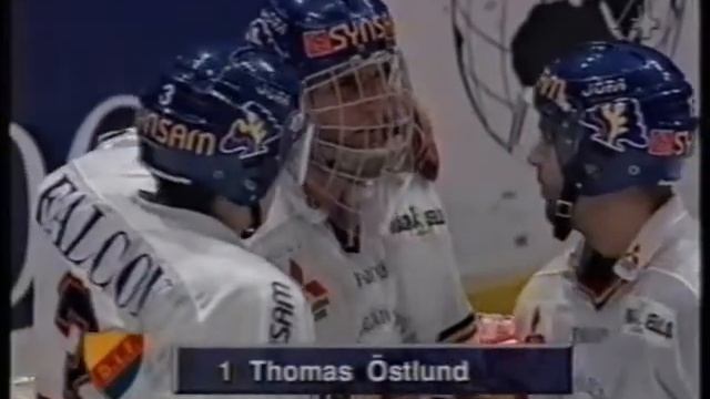 Djurgårdens IF Hockey - Vi är vinnare 1994