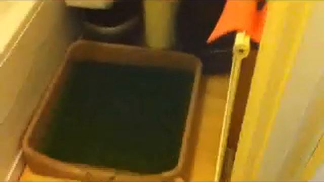 RASCAL DOG LITTER BOX TESTIMONIAL