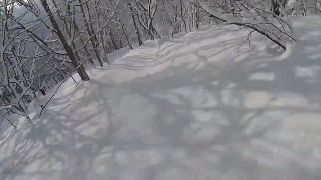 Rødde FHS - Freeride Japan