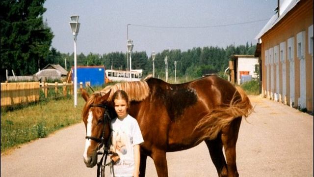 Каникулы лошадиного режима