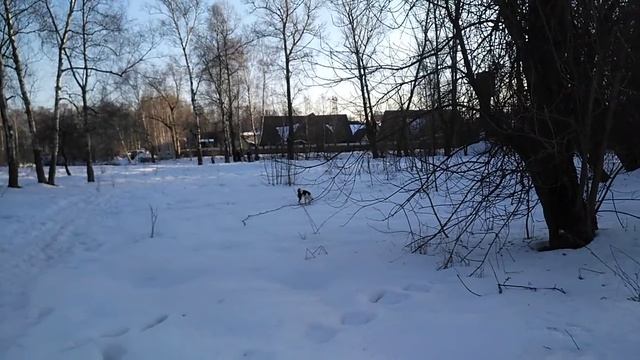 25.02.22г. Подзыв.