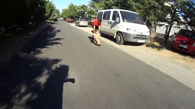 #Прогулка#Катаемся