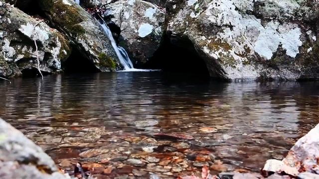 Льющаяся вода ручья сверху с камней. Мини лесной водопад. Успокаивающий шум воды для сна.