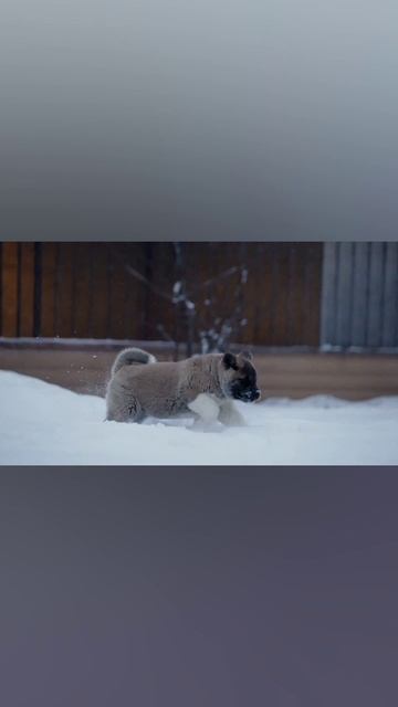 1000073644.mp4