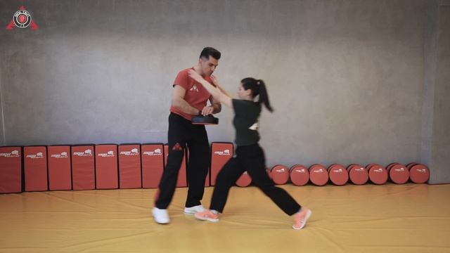 1. Trainingstipp für zuhause: Pratzentraining