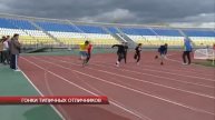 Гонки типичных отличников