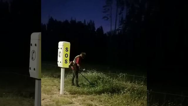 Наше лето