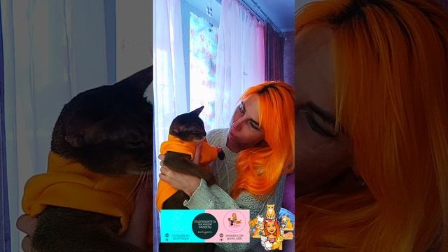 Вот так и прослывешь злодейкой 😁 Добби показывает, как он не в духе после уколов и лекарств