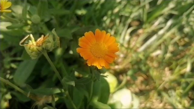 1000009835.mp4