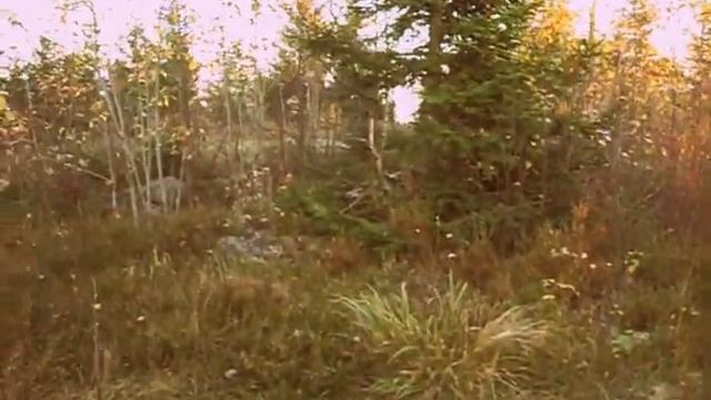 Pt. 2 On top of a mountain - Husqvarna motocross 250 1968 in the north east of Dalecarlia in Sweden