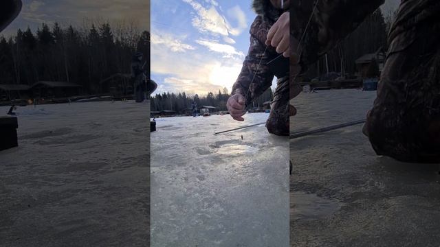Видеообзор с водоёма